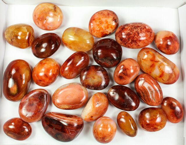 Lot: lbs Polished Carnelian Agate (- Pieces) #77284